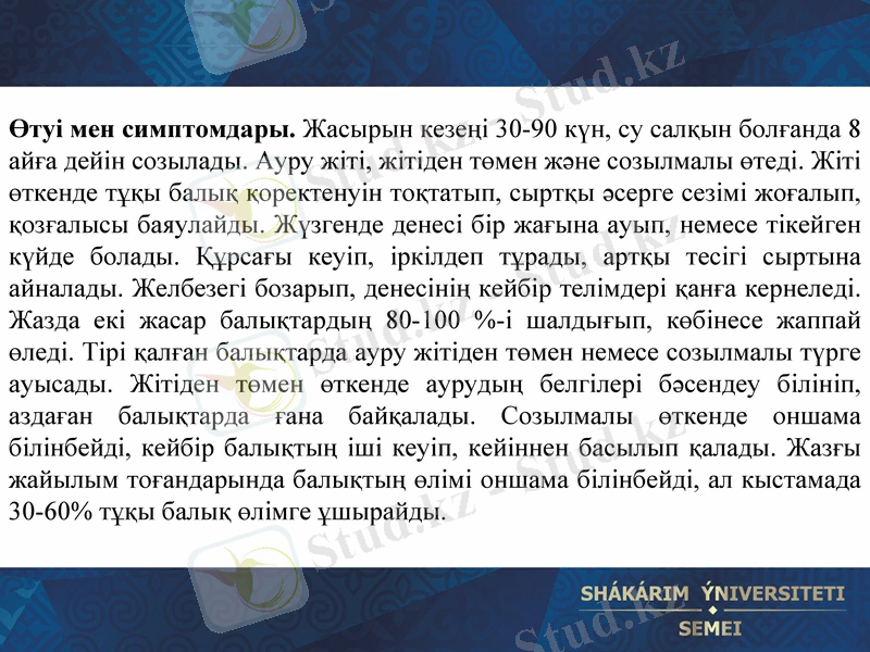 Slide 22