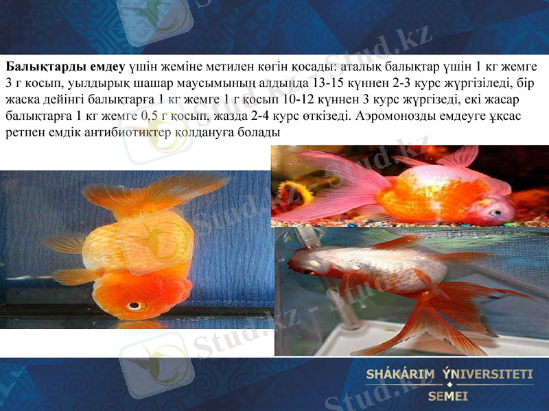 Slide 25