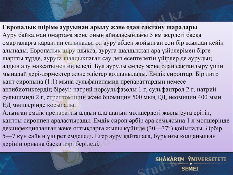 Slide 7