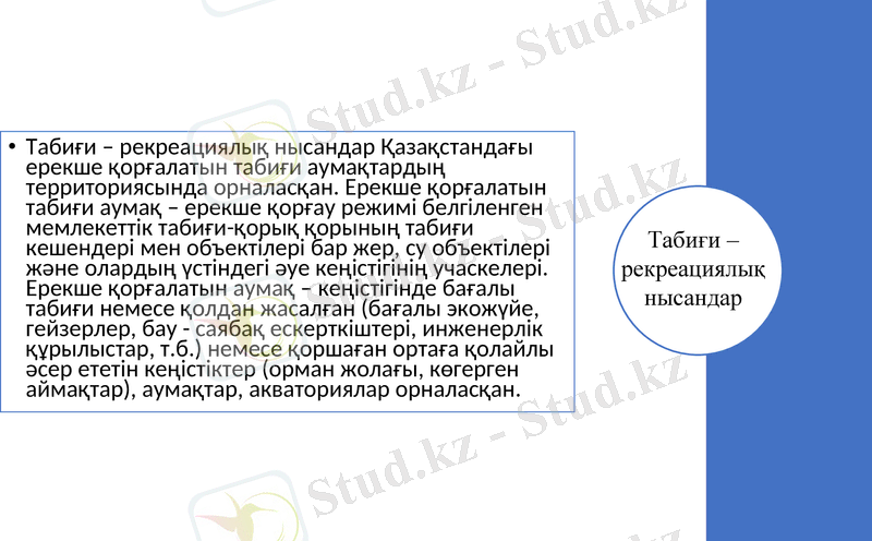 Slide 7