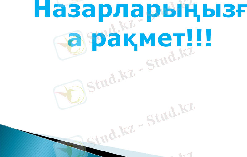 Slide 8