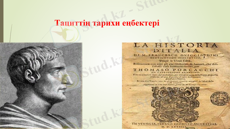 Slide 7