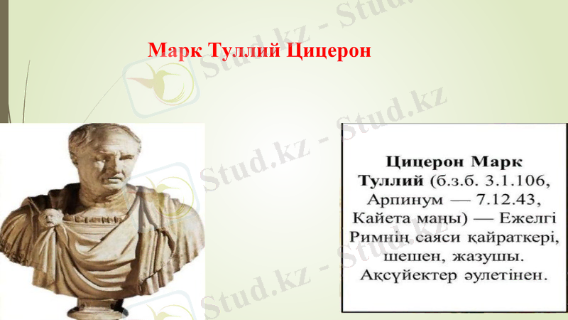 Slide 9