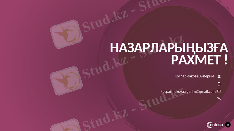 Slide 11