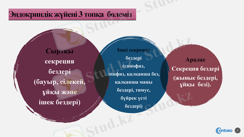 Slide 5