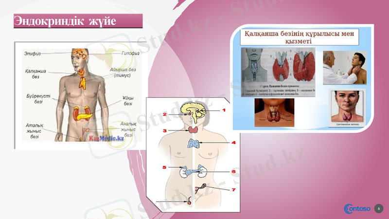 Slide 6