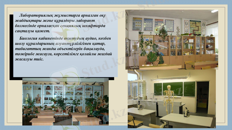 Slide 11