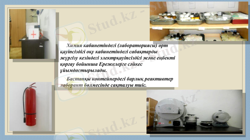 Slide 7