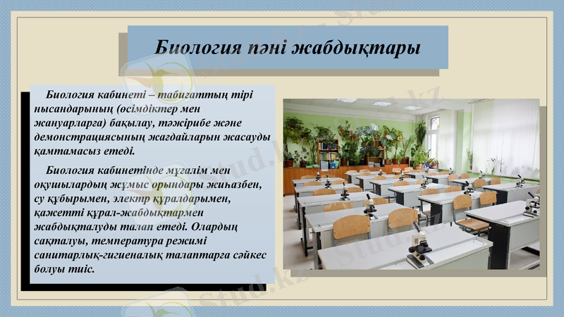 Slide 8