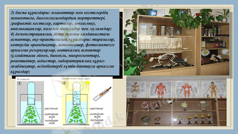 Slide 9