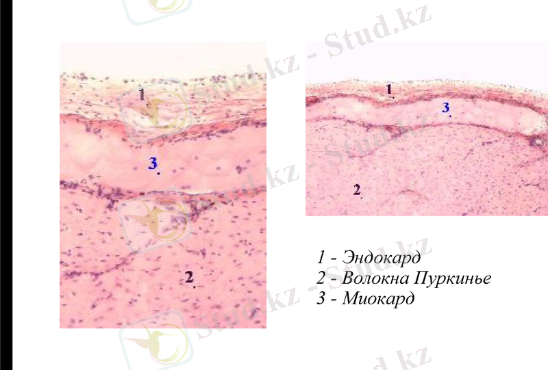 Slide 10