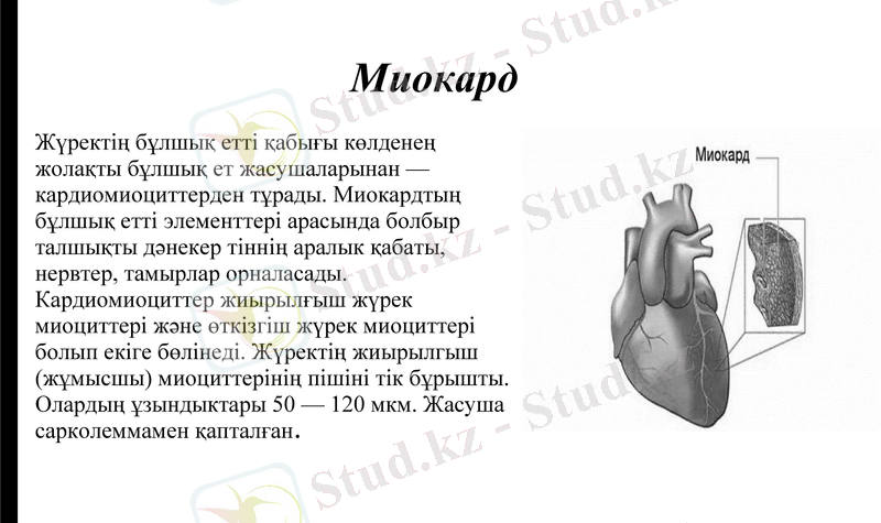 Slide 11