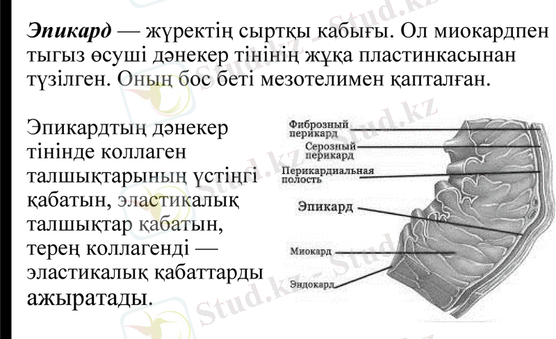 Slide 12