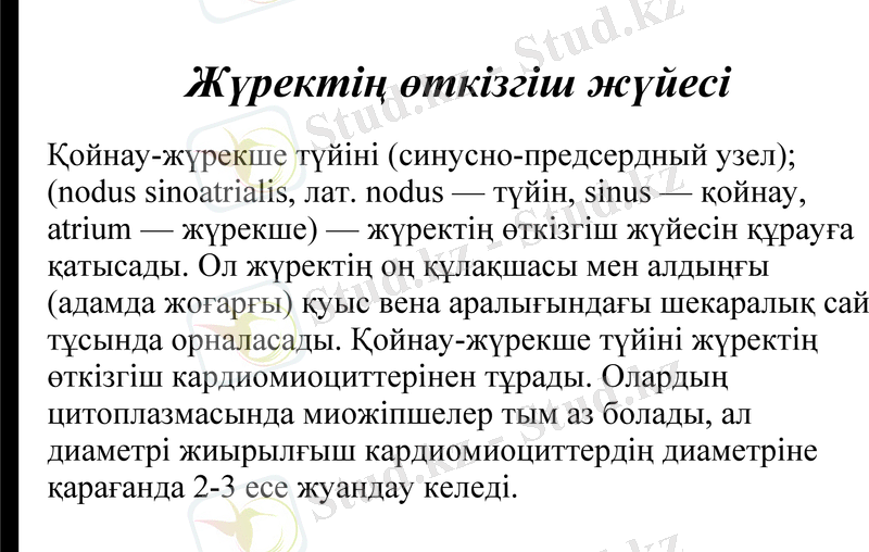 Slide 16