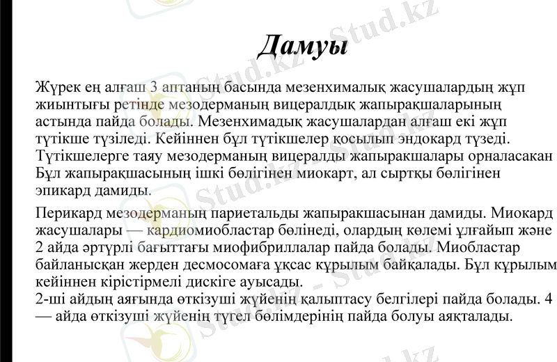 Slide 7