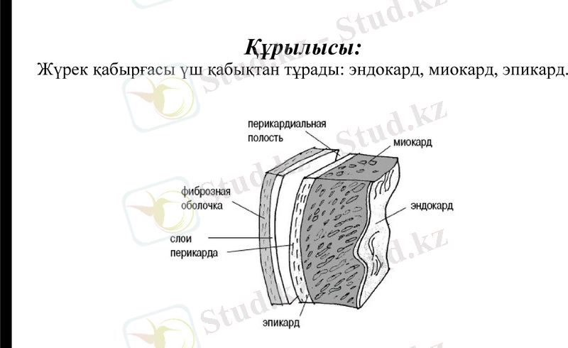 Slide 8