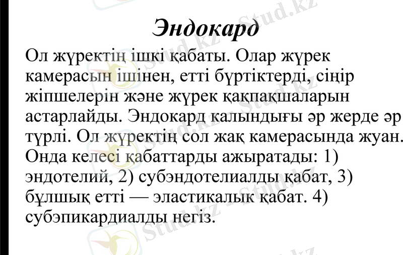 Slide 9