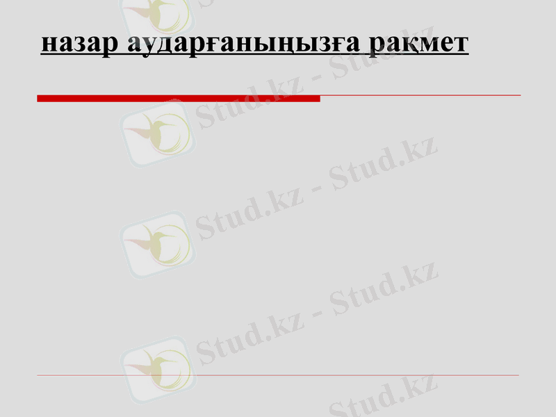 Slide 11