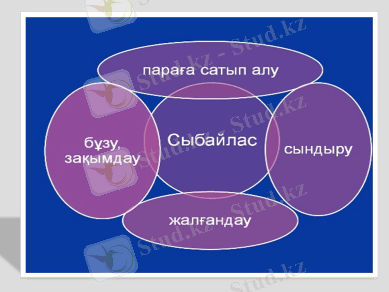 Slide 7