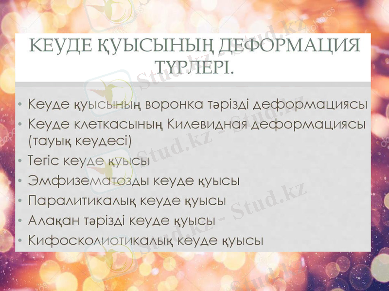 Slide 12
