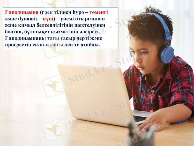 Slide 6