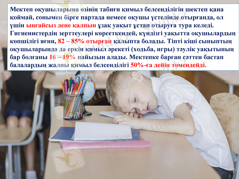 Slide 8