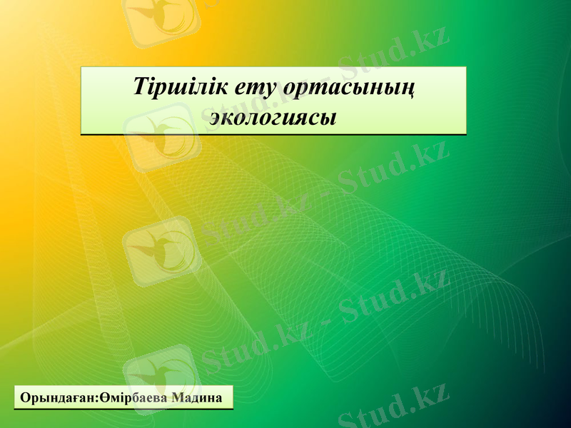 Slide 1