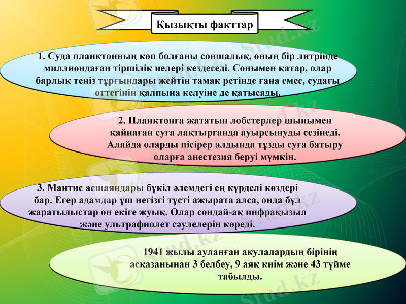 Slide 6