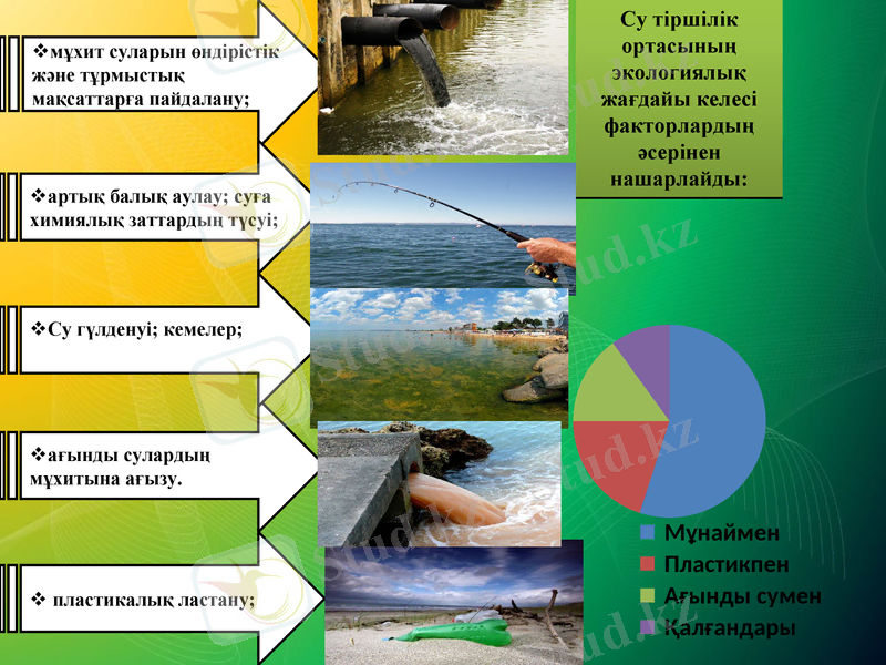 Slide 7