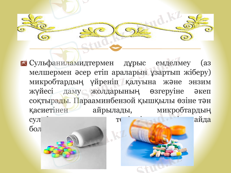 Slide 11