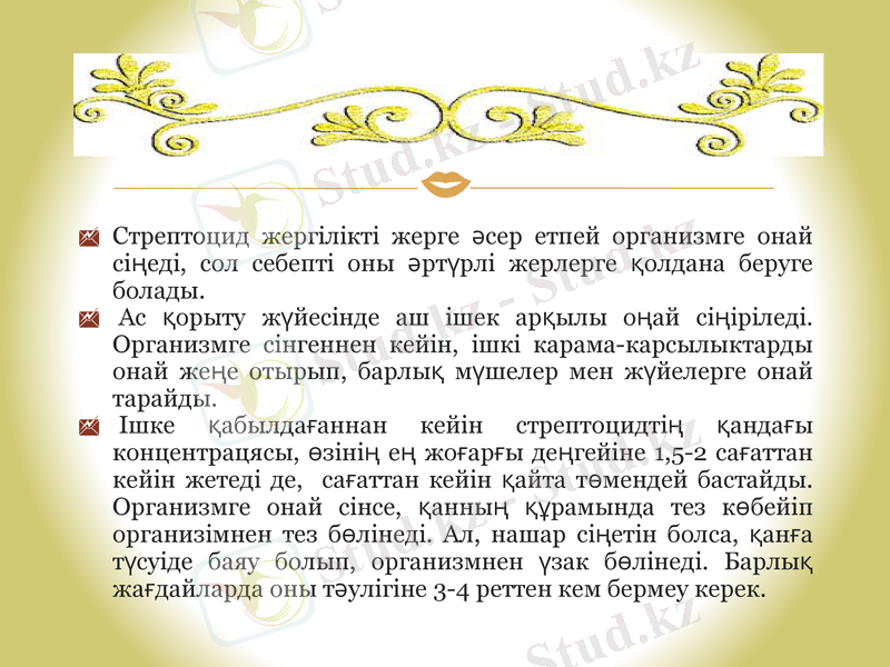 Slide 19