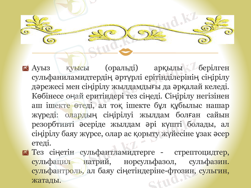 Slide 6