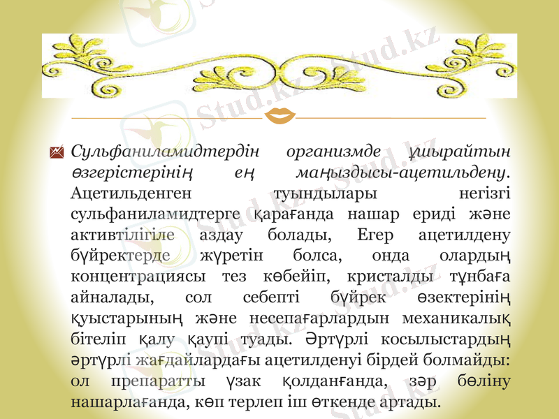Slide 7