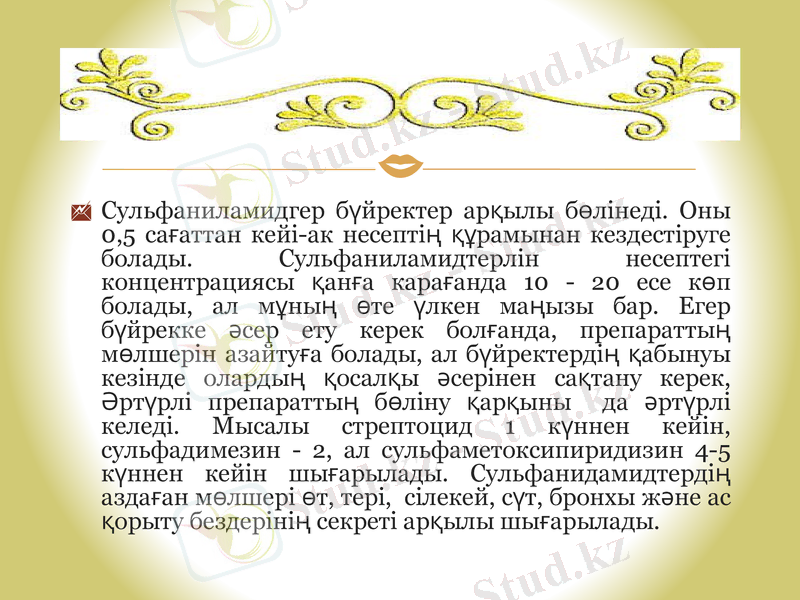 Slide 8