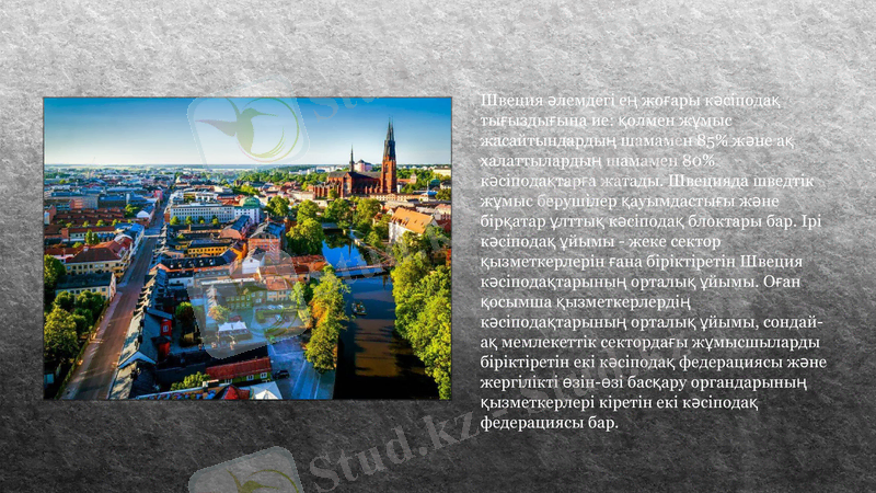 Slide 8