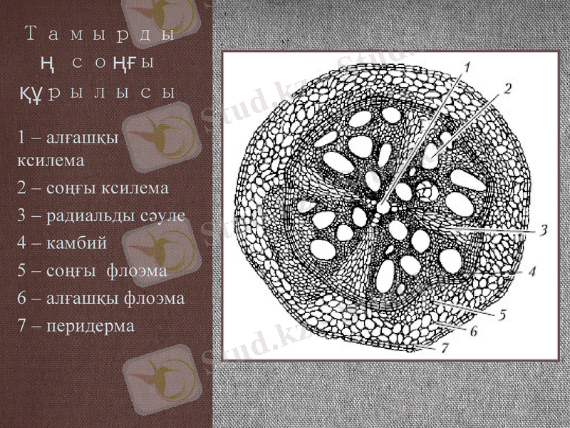 Slide 10
