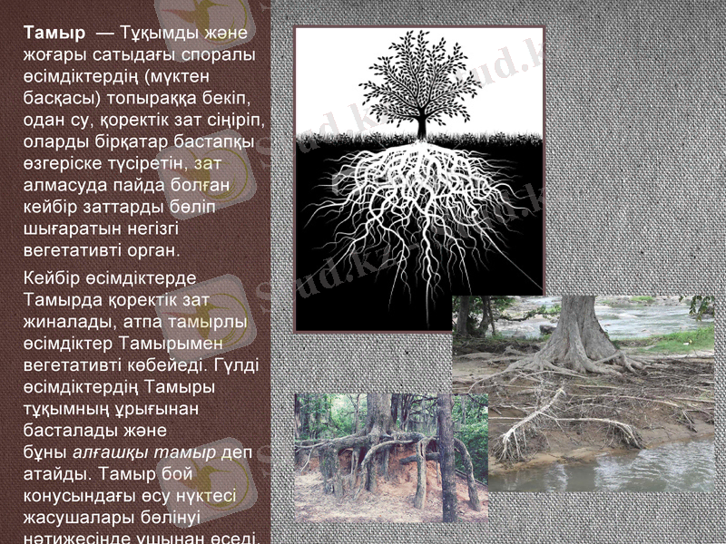 Slide 2