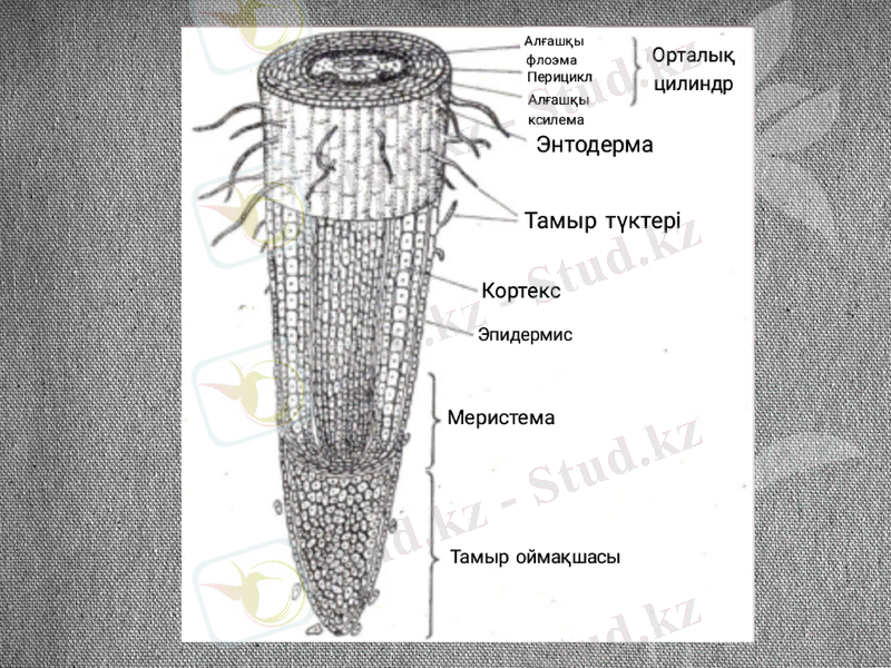 Slide 9