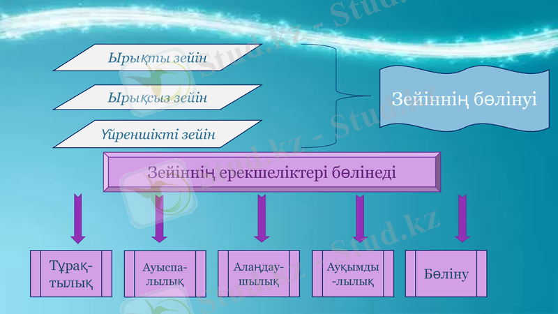 Slide 10