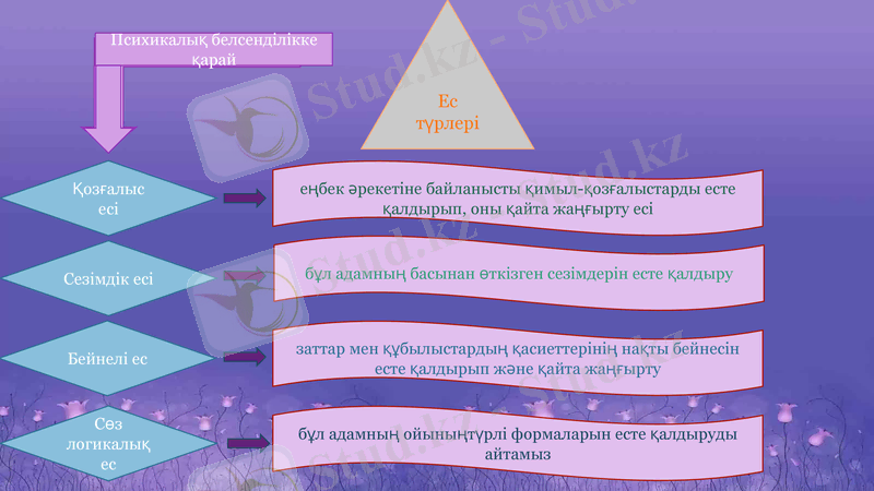 Slide 11