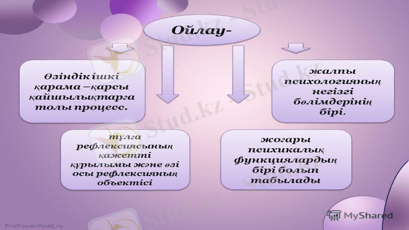 Slide 13