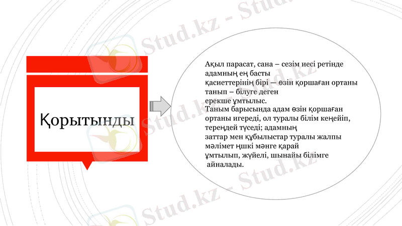 Slide 19
