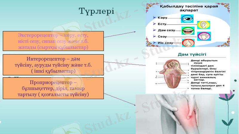 Slide 6