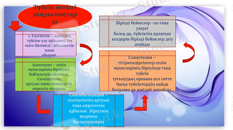 Slide 7