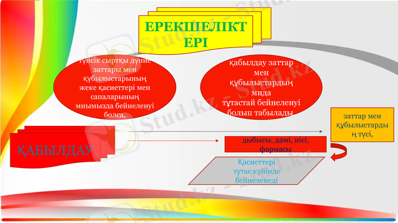 Slide 8