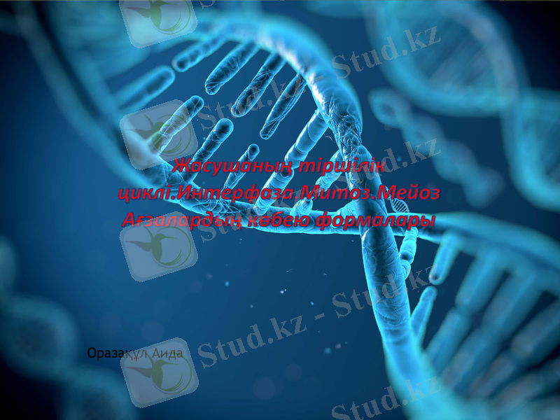 Slide 1