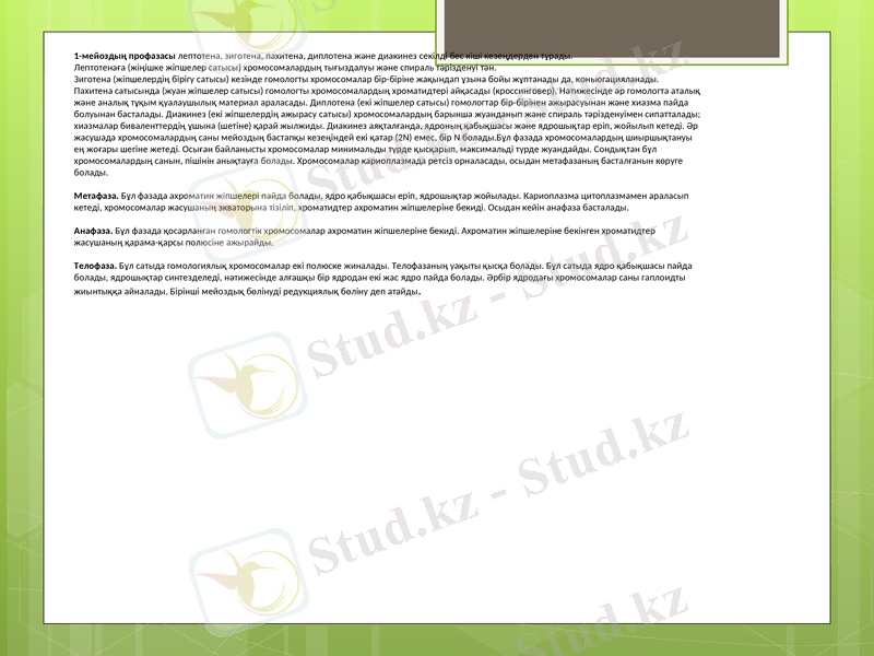 Slide 11