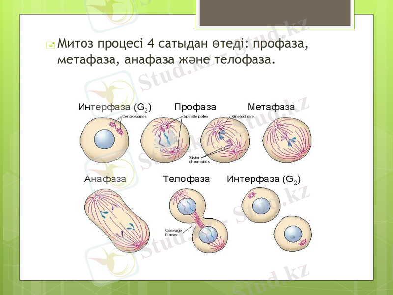 Slide 6