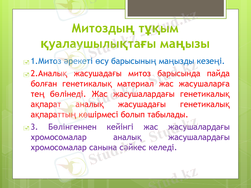 Slide 7