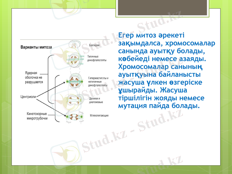 Slide 8